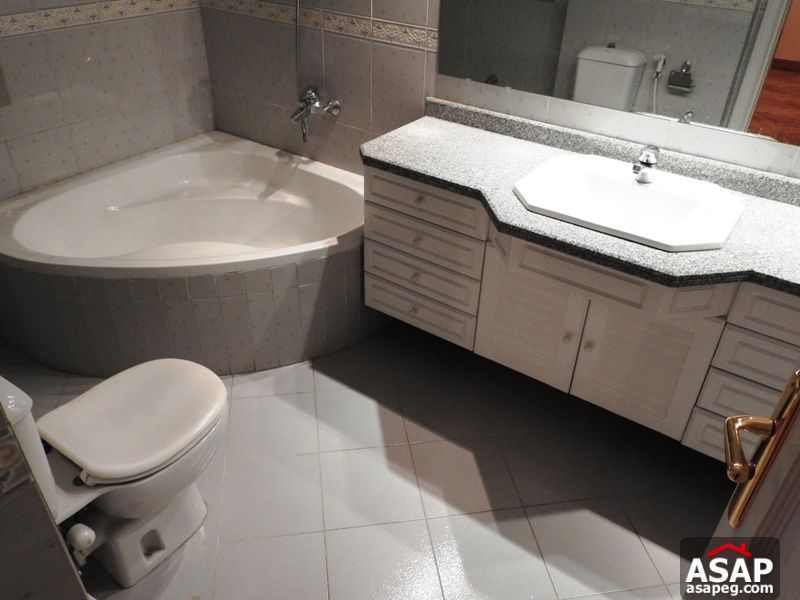 Penthouse for Rent in Maadi