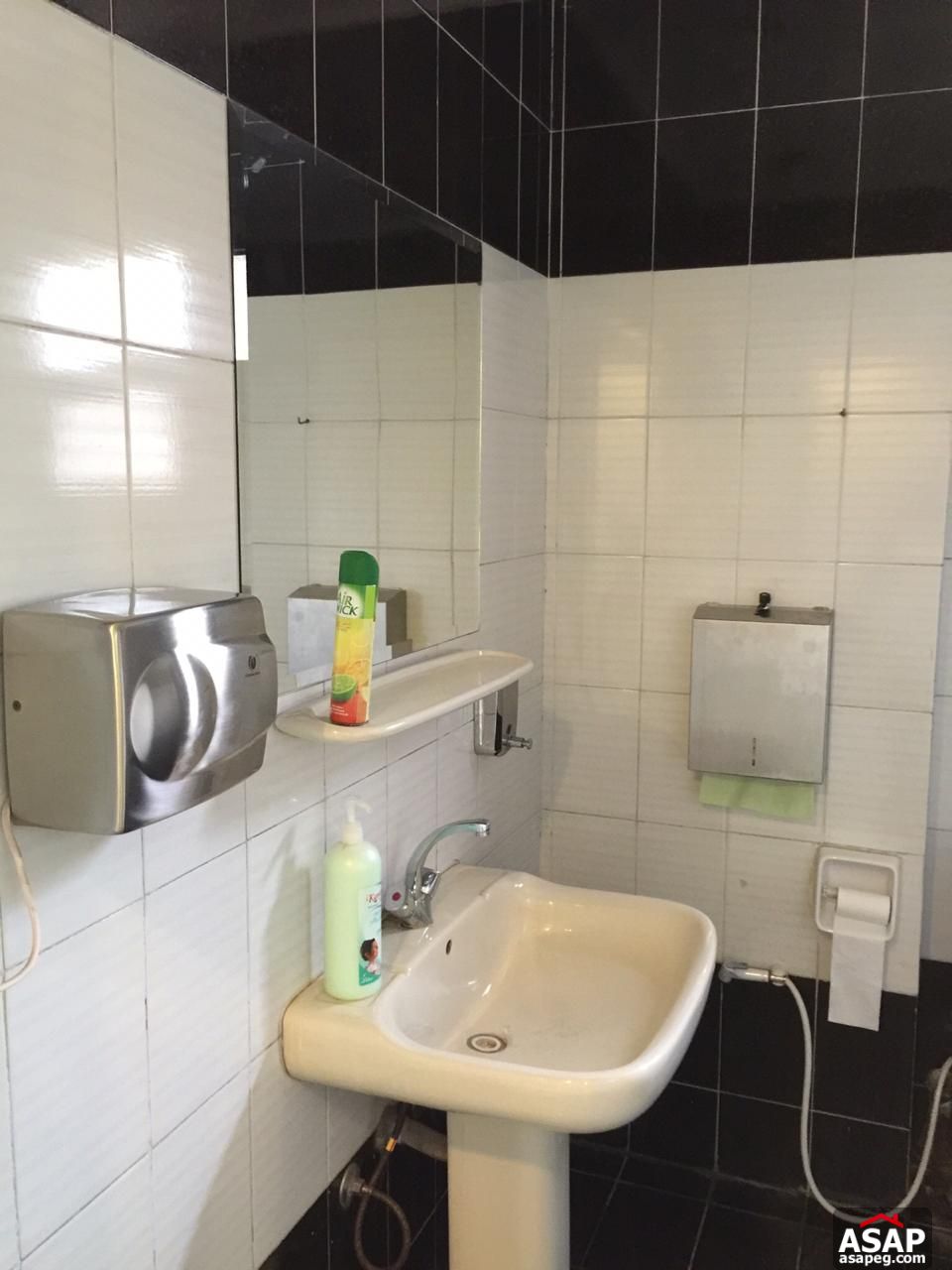 Office Space for Rent in Zamalek