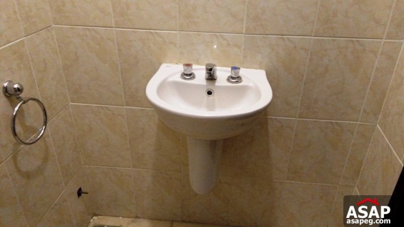 Apartment with Terrace for Rent in Zamalek Apartment with Terrace for Rent in Zamalek