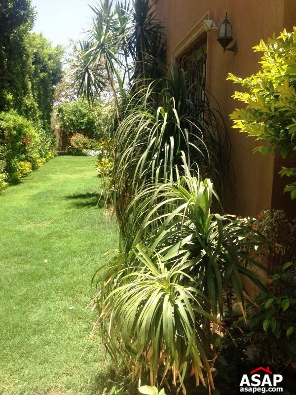 Fully Furnished Twin House for Rent in New Cairo Fully Furnished Twin House for Rent in New Cairo