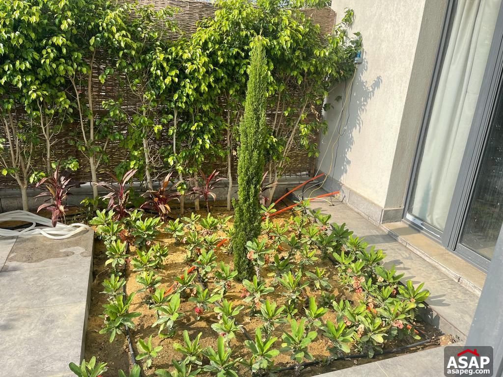 Furnished Ground Floor for Rent in Eastown Sodic Furnished Ground Floor for Rent in Eastown Sodic