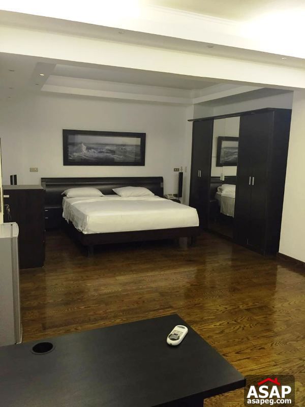 Apartment for Rent in Zamalek Apartment for Rent in Zamalek