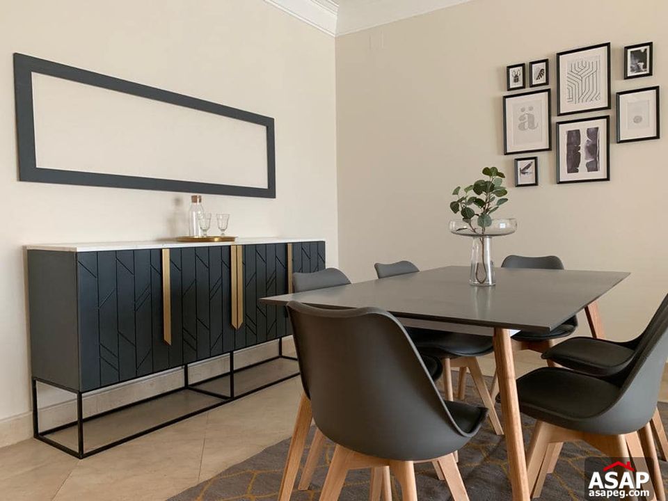 Apartment with Nile View for Rent in Zamalek