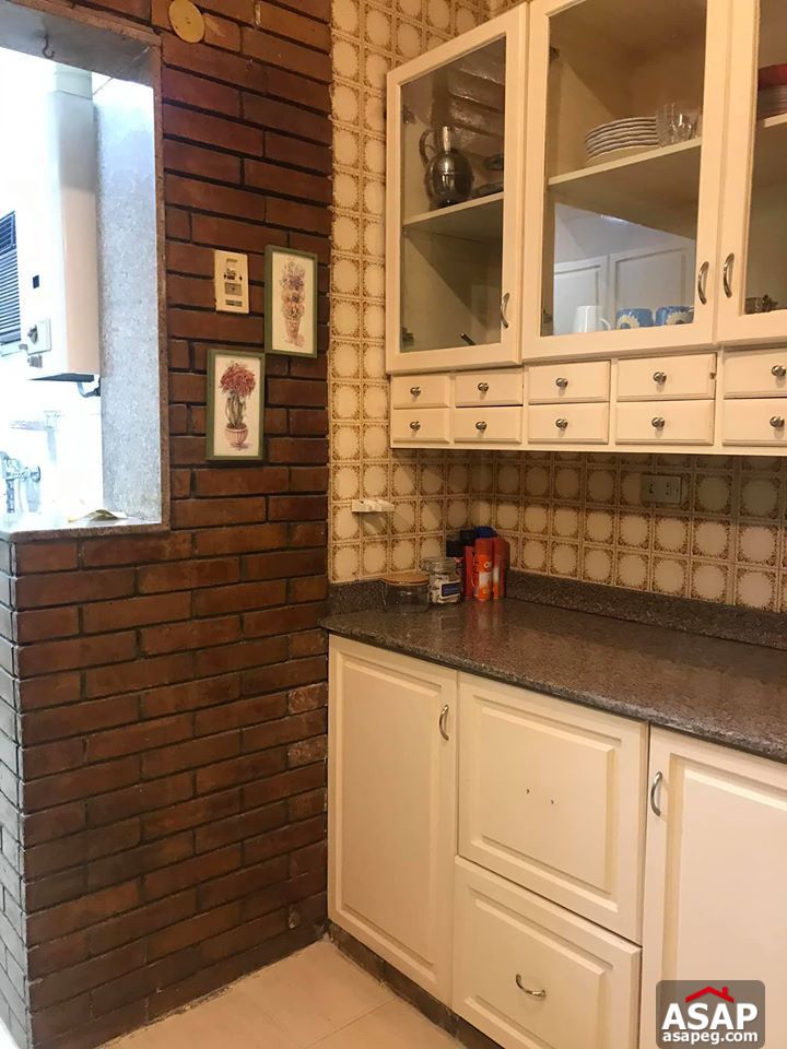 Apartment for Rent in Zamalek Apartment for Rent in Zamalek