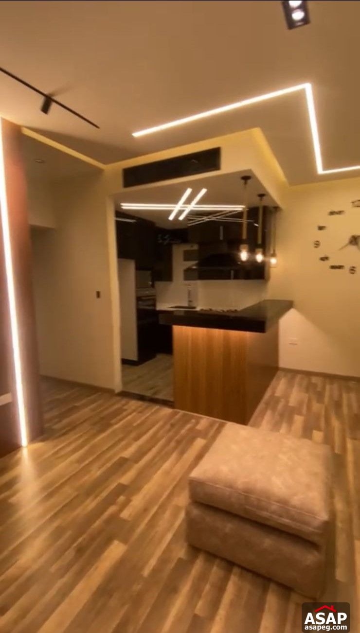 Furnished Apartment for Rent in Hyde Park Furnished Apartment for Rent in Hyde Park