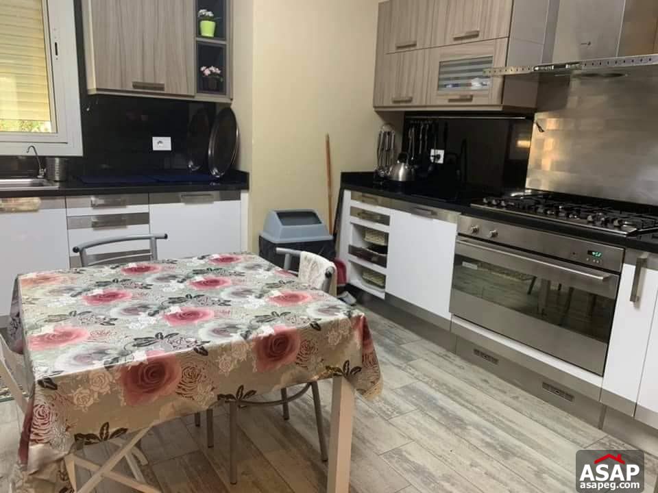 Rent Furnished Villa in New Cairo