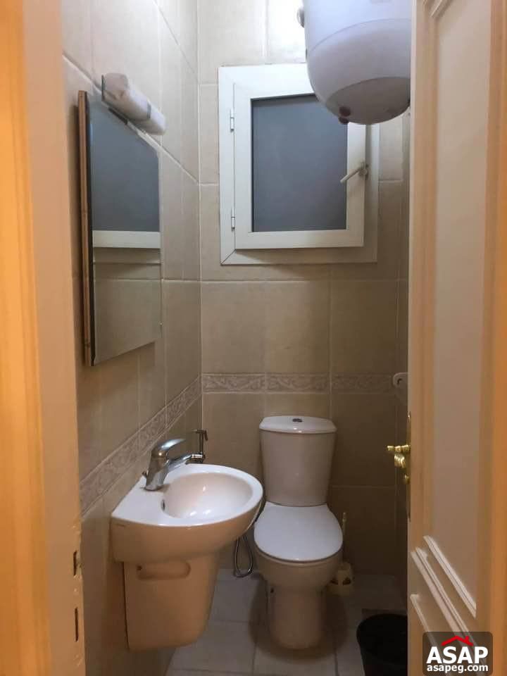 Apartment for Rent in Zamalek Apartment for Rent in Zamalek