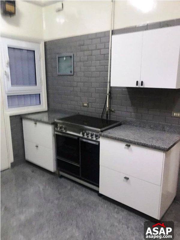 Apartment for Rent in Zamalek Apartment for Rent in Zamalek