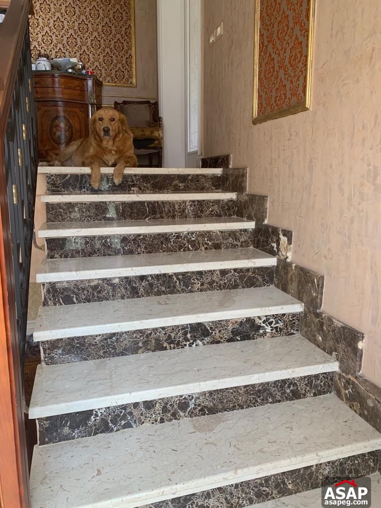 Stand Alone Villa with Swimming Pool in Bellagio