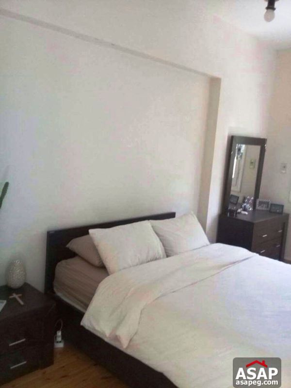 PentHouse for Rent in Maadi