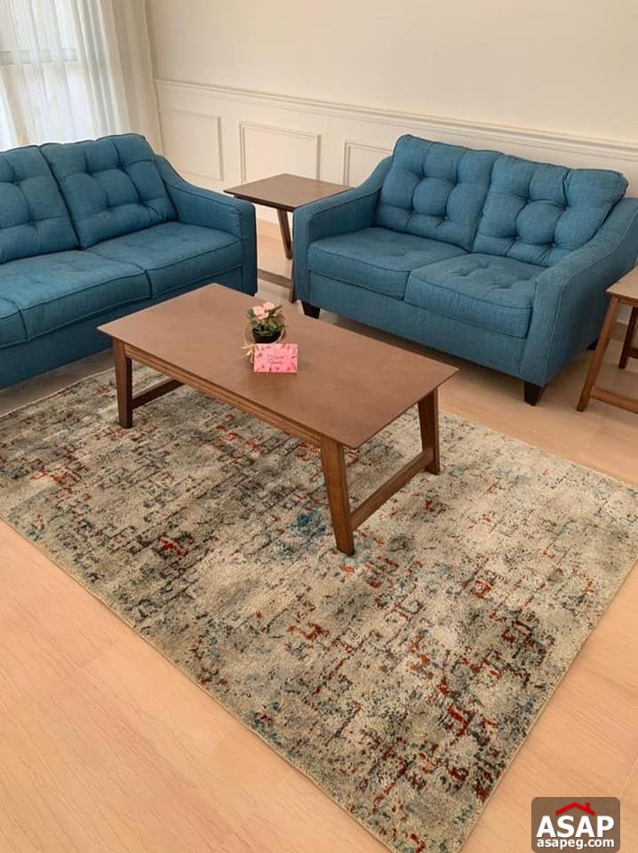 Furnished Apartment for Rent in Cairo Festival City