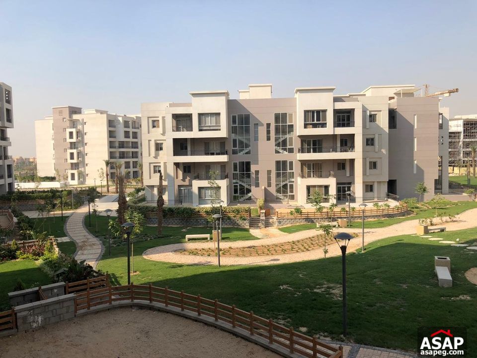 Rent Semi Furnished Apartment in New Cairo Rent Semi Furnished Apartment in New Cairo