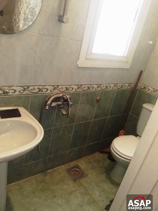 Apartment with Big Roof for Rent in Zamalek Apartment with Big Roof for Rent in Zamalek