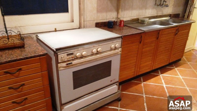 Furnished Apartment for Rent in Zamalek Furnished Apartment for Rent in Zamalek