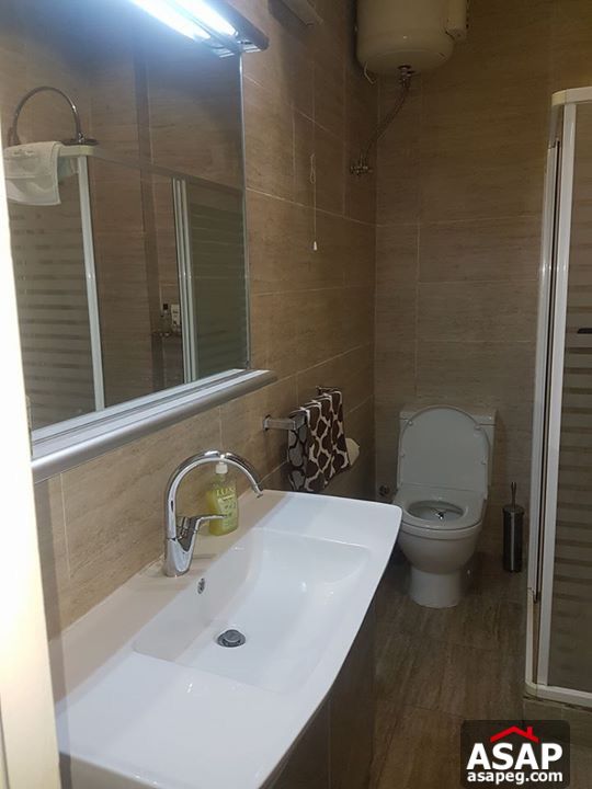 Apartment for rent in zamalek Apartment for rent in zamalek