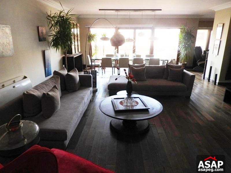 Penthouse with Swimming Pool in Sarayat El Maadi Penthouse with Swimming Pool in Sarayat El Maadi