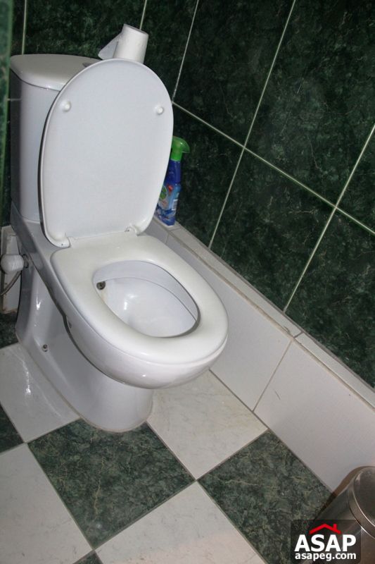 Apartment for rent in zamalek Apartment for rent in zamalek