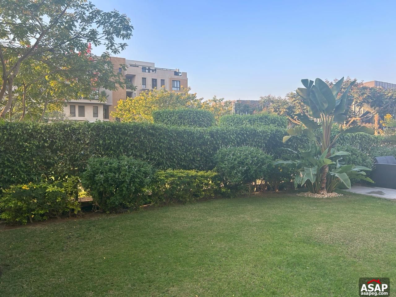 Duplex with Garden for Rent in Eastown Sodic Duplex with Garden for Rent in Eastown Sodic