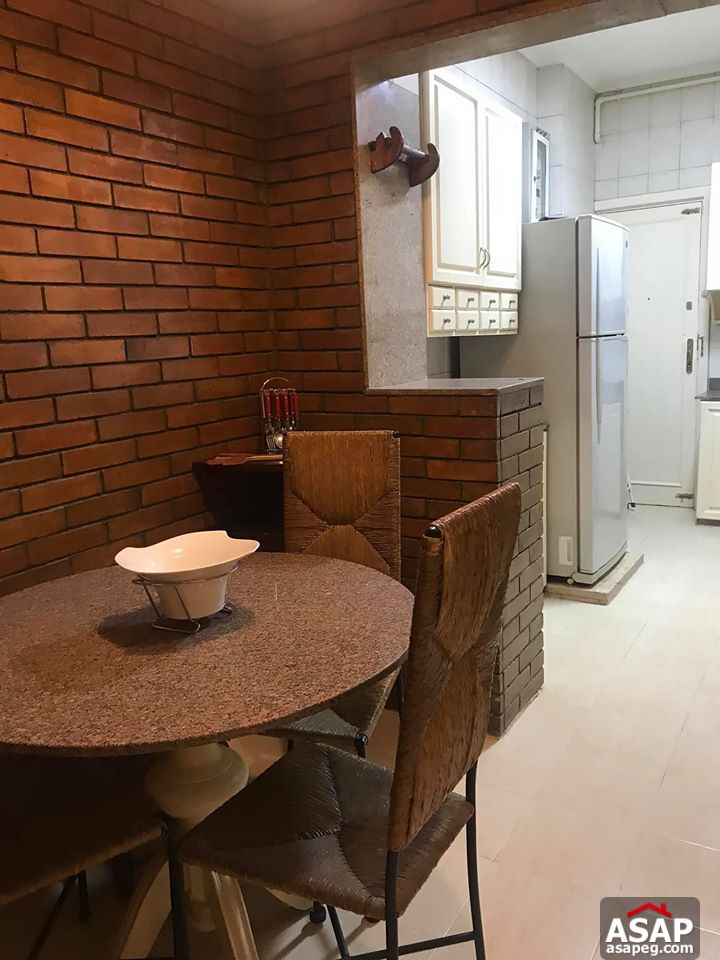 Apartment for Rent in Zamalek Apartment for Rent in Zamalek