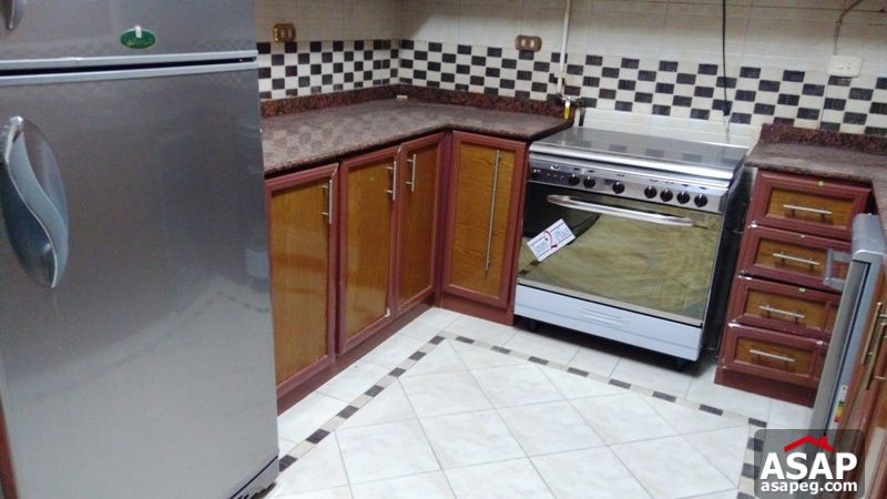 Apartment with Terrace for Rent in Zamalek Apartment with Terrace for Rent in Zamalek