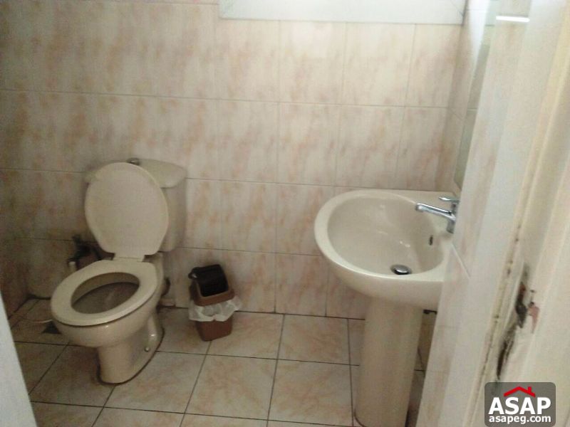 Furnished Roof for Rent in Sarayat EL Maadi