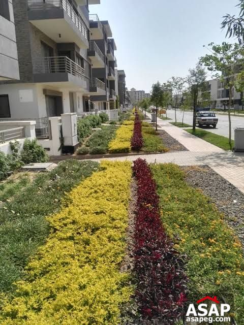 Semi Finished Apartment for Sale in Taj Sultan Semi Finished Apartment for Sale in Taj Sultan