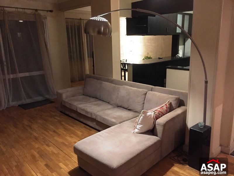 Apartment for rent in zamalek Apartment for rent in zamalek