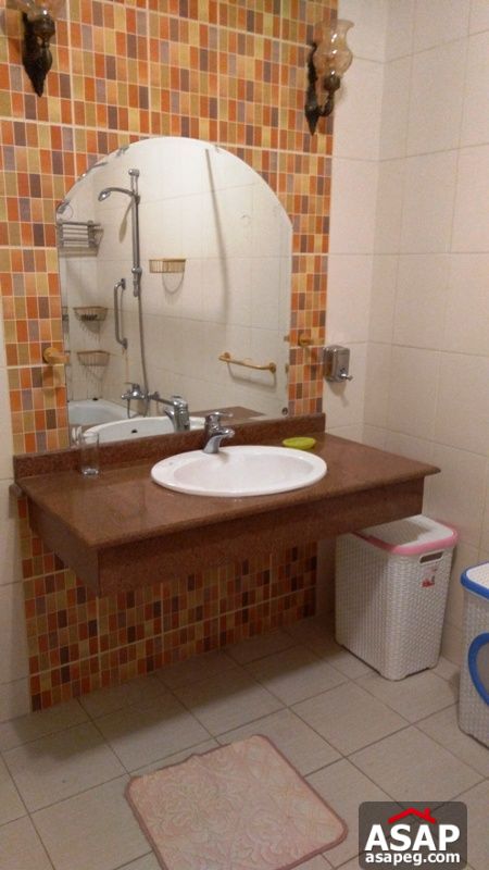 Furnished Apartment with Nile View in Zamalek Furnished Apartment with Nile View in Zamalek