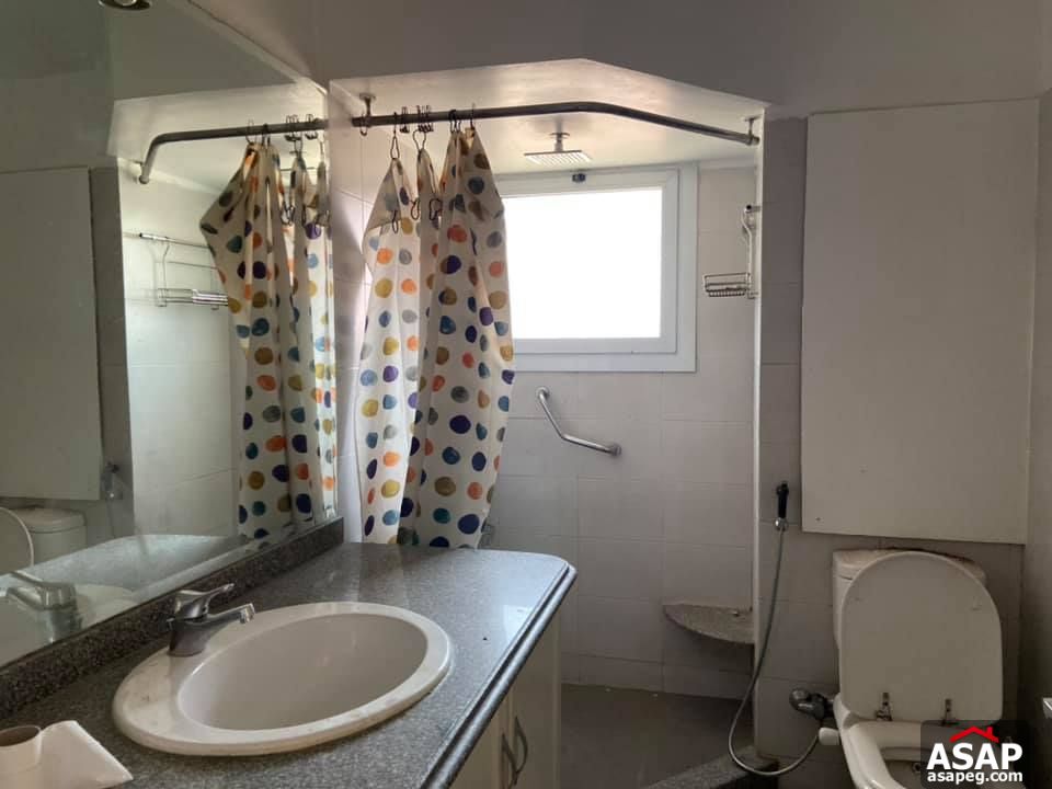 Apartment for Rent in Zamalek Apartment for Rent in Zamalek