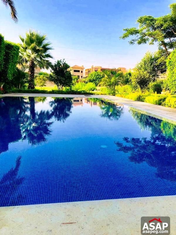 Villa with Pool for Rent in Mirage Villa with Pool for Rent in Mirage