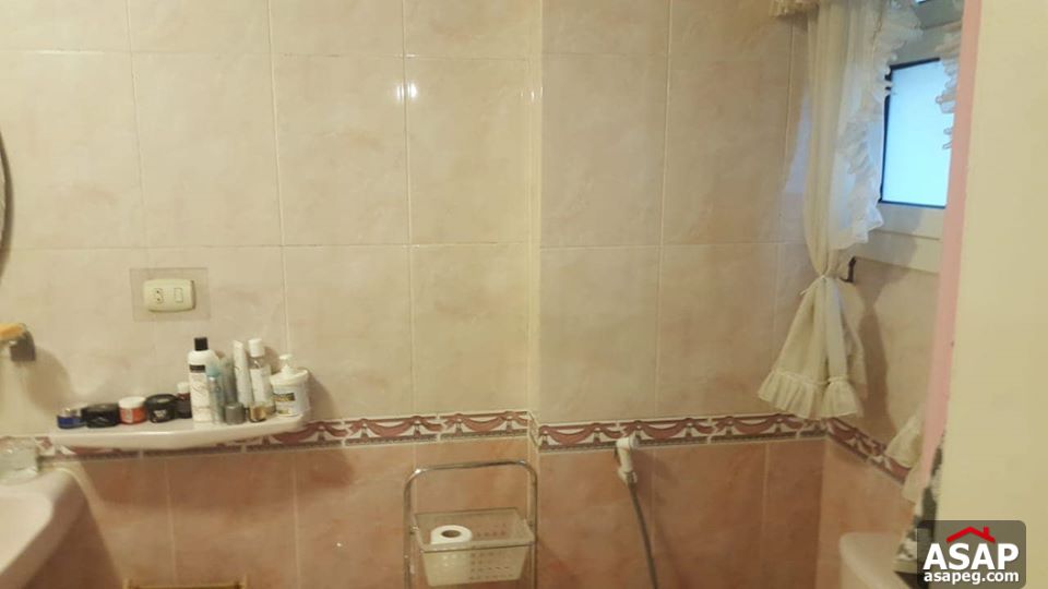 Apartment with Nile View for Sale in Zamalek Apartment with Nile View for Sale in Zamalek