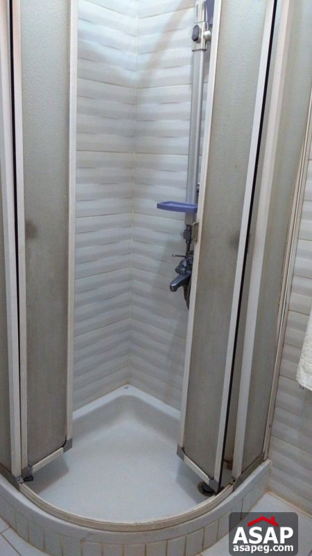 Apartment for Rent in Zamalek