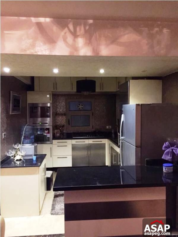 Property for Rent with Nile View in Zamalek Property for Rent with Nile View in Zamalek