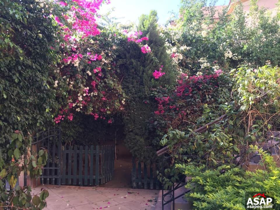 Penthouse for Rent in the Village Penthouse for Rent in the Village