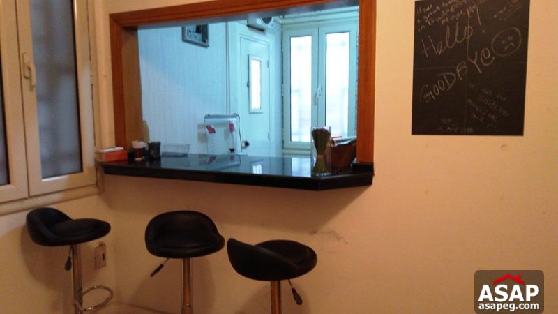 Apartment for Rent in Zamalek