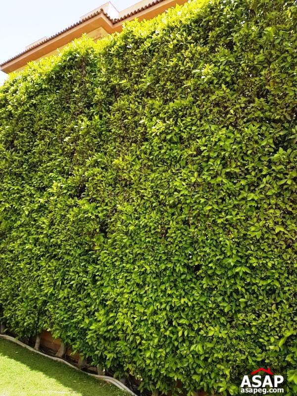 Villa for Rent in Katameya Heights