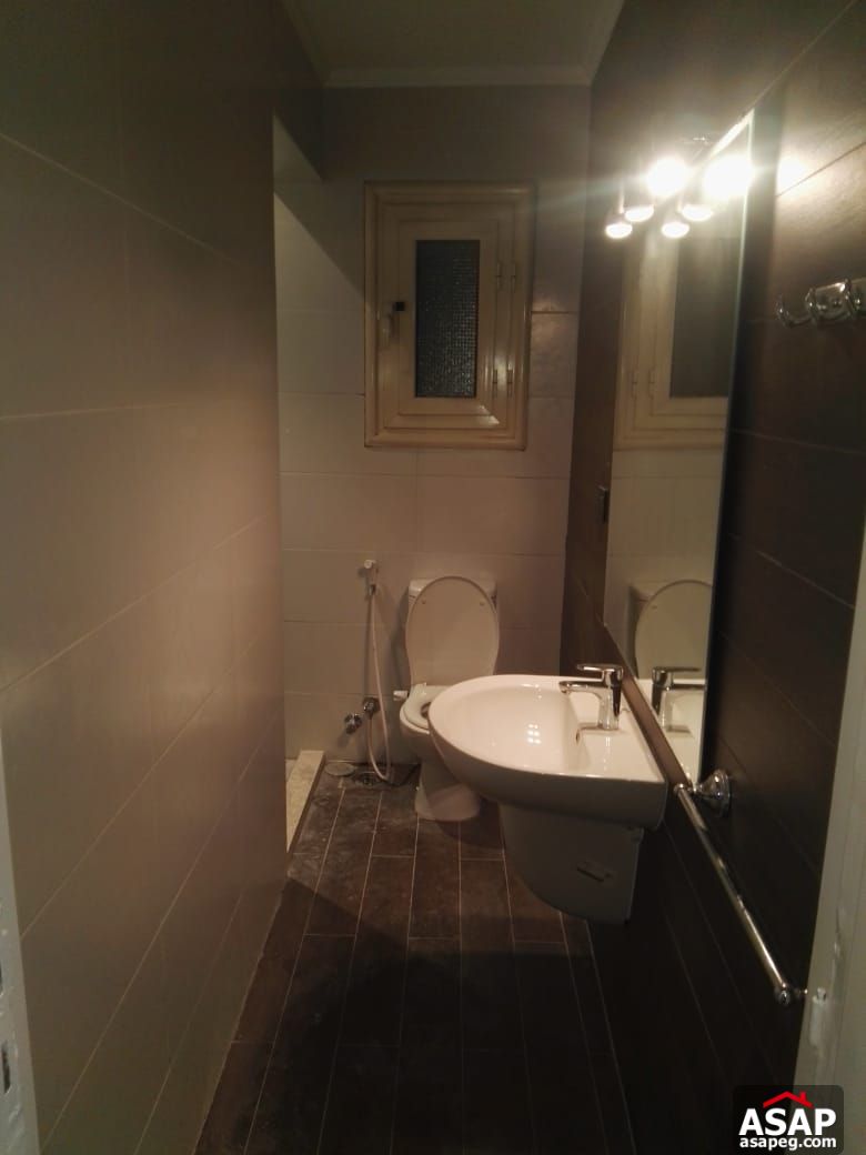 Apartment for Rent in Zamalek Apartment for Rent in Zamalek