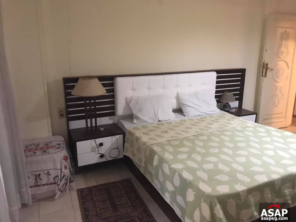 Apartment for Rent in Zamalek Apartment for Rent in Zamalek