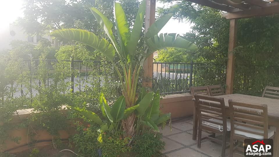 For Rent Villa in Mivida Emaar