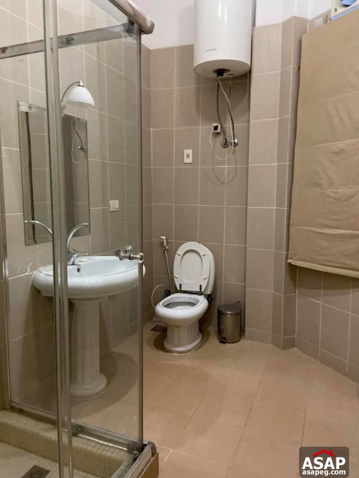 Apartment for Rent in Zamalek Apartment for Rent in Zamalek