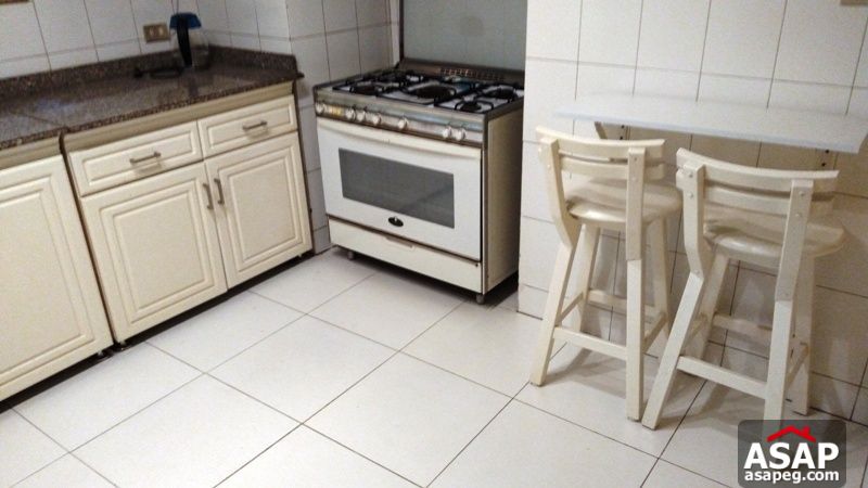 Furnished Apartment with Terrace in Zamalek for Rent Furnished Apartment with Terrace in Zamalek for Rent