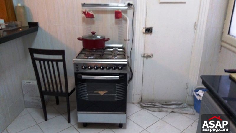 Apartment for Rent in Zamalek