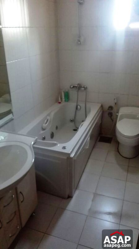 Furnished Apartment with Nile View in Maadi Furnished Apartment with Nile View in Maadi