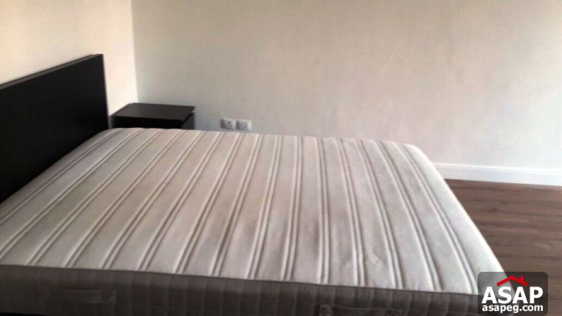 Furnished Apartment with Nice Balcony in Zamalek