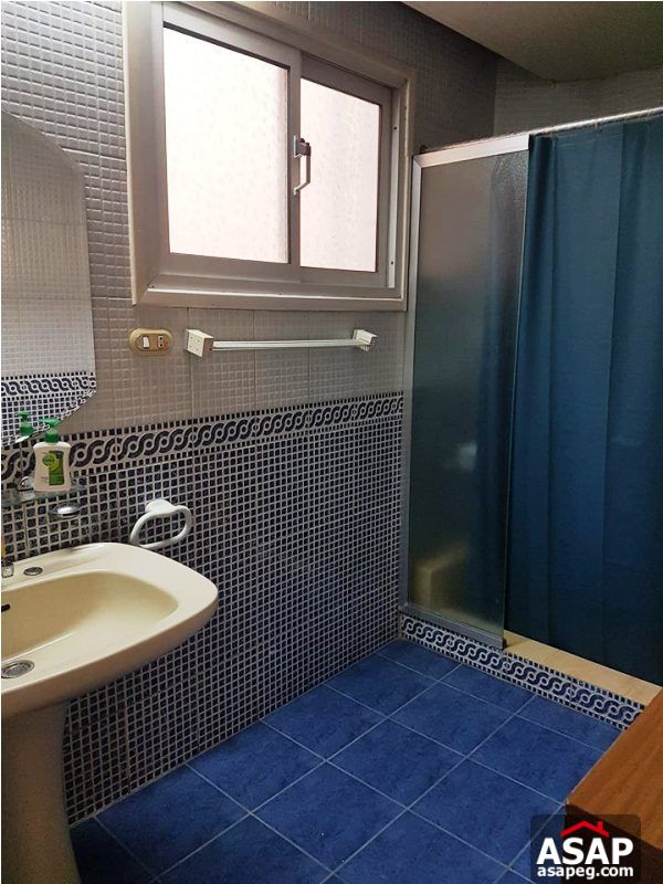 Nice Property for Rent in Zamalek Nice Property for Rent in Zamalek