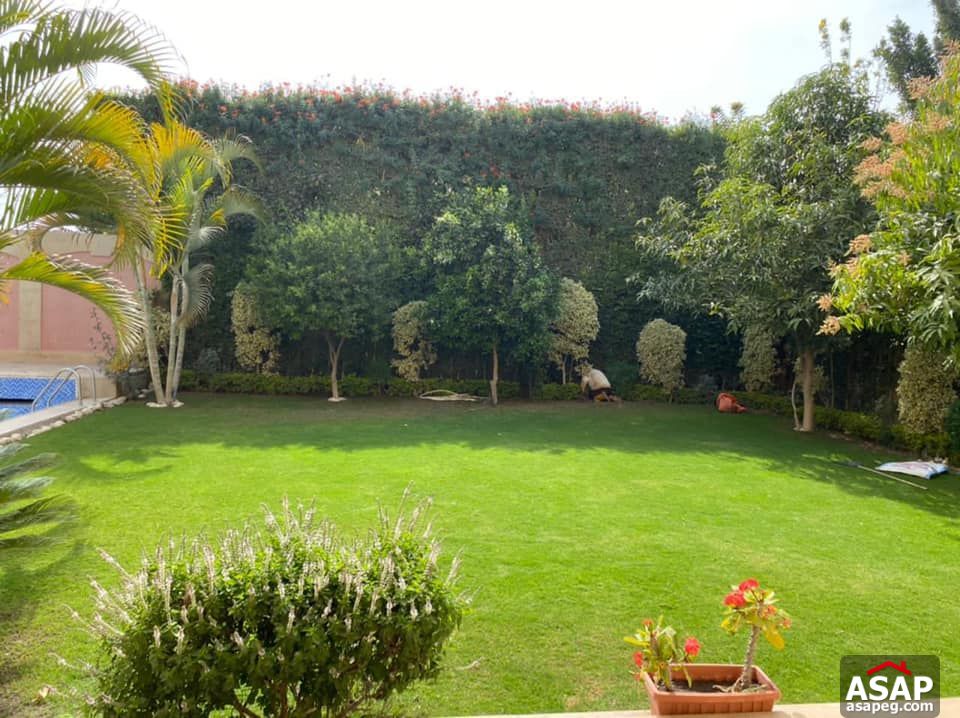 Villa with Swimming Pool for Rent in Tara Compound