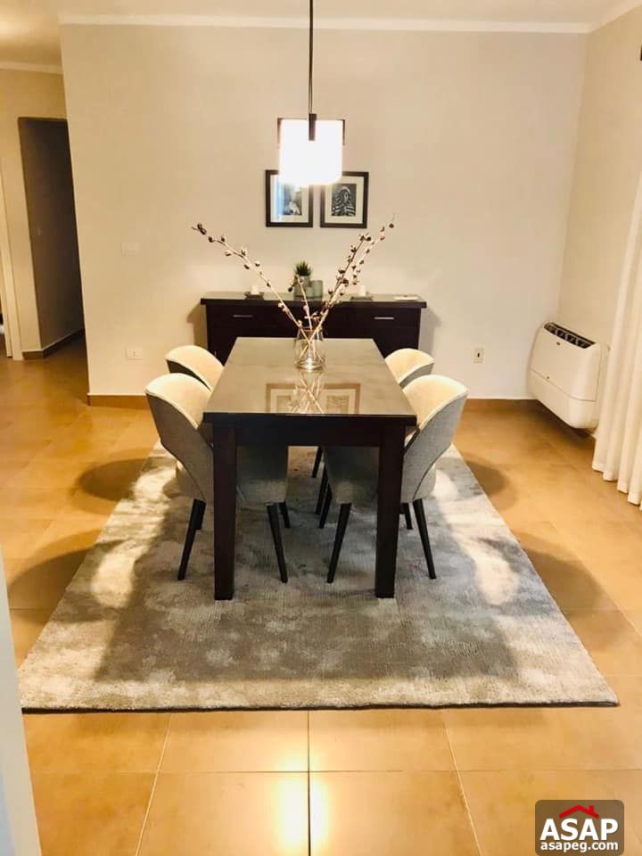 Apartment for Rent in Zamalek Apartment for Rent in Zamalek