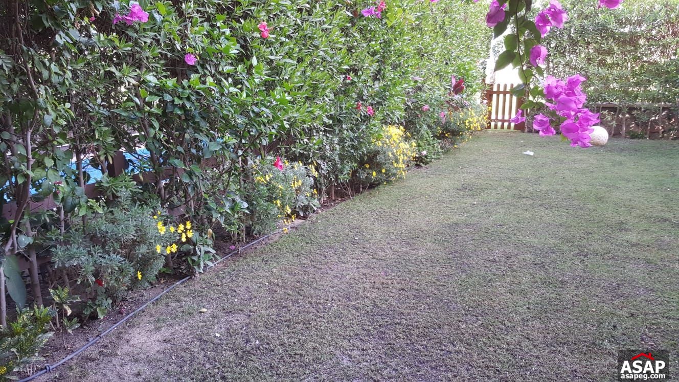 I Villa with Garden for Rent in Mountain View Hyde Park I Villa with Garden for Rent in Mountain View Hyde Park