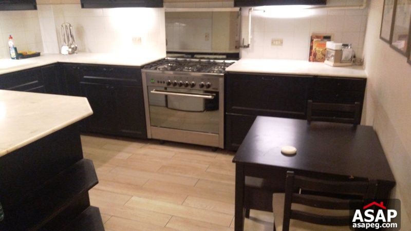 Apartment for rent in zamalek Apartment for rent in zamalek