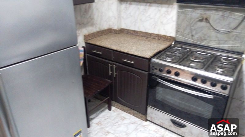 Apartment for Rent in Zamalek